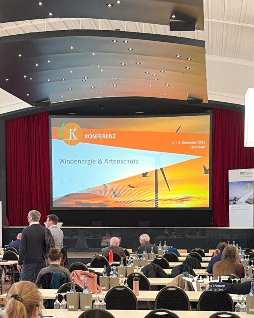 Energiewende trifft Artenvielfalt
Diese Woche ging es für zwei Kollegen aus dem Team @wuf_gmbh zur Konferenz „Windenergie & Artenschutz“ nach Hannover, eine zweitägige Veranstaltung, bei der Fachleute aus Planung, Projektierung, Recht und ökologischem Monitoring zusammenkommen.
Im Mittelpunkt standen Themen, wie:
→ Die Umsetzung der RED III und deren Auswirkungen auf artenschutzrechtliche Genehmigungsverfahren sowie erste praktische Erfahrungen aus den Bundesländern.
→ Ein Update zum Bundesnaturschutzgesetz (BNatSchG) mit Informationen zur anstehenden Novelle, insbesondere zu den Schutzmaßnahmen nach §45b BNatSchG, zur HPA- und Probabilistik-Verordnung.
→ Diskussion zu Ausgleichsflächen und Ersatzzahlungen im Kontext von Windenergieprojekten
→ Fachliche und juristische Einschätzungen zum Störungsverbot mit Fallbeispielen gefährdeter Arten wie Vögel, Insekten und Reptilien sowie möglichen bundeseinheitlichen Regelungen.
→ Die FFH-Verträglichkeitsprüfung nach dem EuGH-Urteil (12.09.2024) und die unterschiedliche Anwendung in den Bundesländern.
Besonders spannend fanden wir den Ansatz, dass Windenergieanlagen auf Ackerflächen durch die Böschungen an den Wegen und die Flächen direkt an der Anlage zusätzlichen Lebensraum für verschiedene Arten schaffen können.
Wie siehst du das: Können technische Infrastrukturen wie Windenergieanlagen auch Chancen für neue Lebensräume bieten?
#Windenergie #Windkraft #TeamWuF