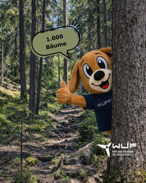 𝗪𝗶𝗿 𝘀𝘁𝗲𝘂𝗲𝗿𝗻 𝗻𝗶𝗰𝗵𝘁 𝗻𝘂𝗿 𝗔𝗻𝗹𝗮𝗴𝗲𝗻 – 𝘄𝗶𝗿 𝗽𝗳𝗹𝗮𝗻𝘇𝗲𝗻 𝗮𝘂𝗰𝗵 𝗕ä𝘂𝗺𝗲 🌱
Mit unseren Lösungen zur bedarfsgerechten Abschaltung tun wir nicht nur etwas für mehr Akzeptanz und Umweltschutz, sondern wir pflanzen auch Bäume - wie das genau funktioniert?
Ganz einfach: für jedes qualifizierte Angebot, welches wir rausschicken, pflanzen wir einen Baum mit @plantmytree.de . Damit tun wir und unsere Kunden gleichzeitig etwas Gutes für die Umwelt. Kürzlich konnten wir die Marke von 1.000 Bäumen knacken – ein Ergebnis das Wurzeln schlägt.
Um auf dem aktuellen Stand zu bleiben geht gern auf unsere Website (direkt unter dem Profilnamen) und verfolgt unseren Baum-Counter.
Warum nicht jedes Angebot mit etwas Gutem verbinden und einen WuF-Wald pflanzen? 😉
#nachhaltigkeit #umweltschutz #plantmytree